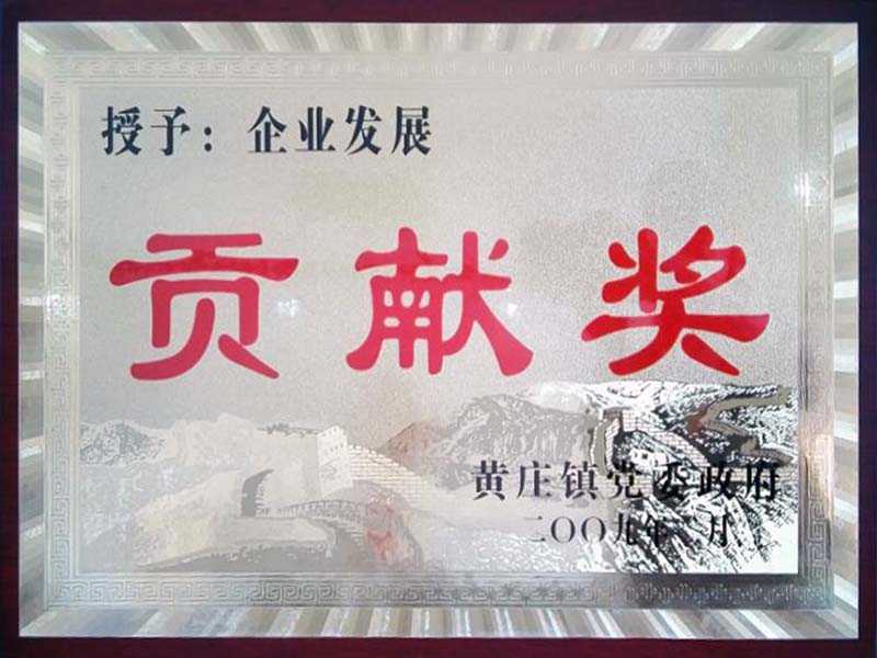 Enterprise development contribution award in 2008