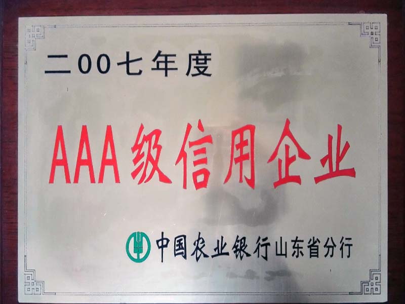 AAA + credit enterprise of Agricultural Bank in 2007